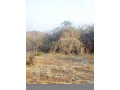 traditional-land-for-sale-small-4