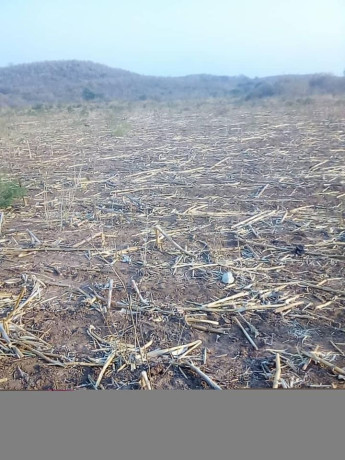 traditional-land-for-sale-big-2