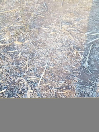 traditional-land-for-sale-big-6