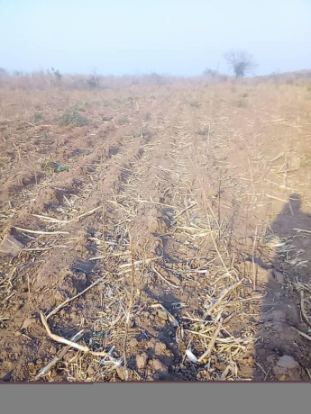 traditional-land-for-sale-big-8