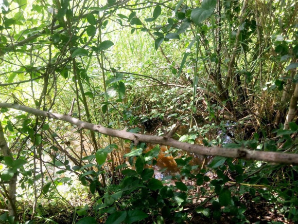 land-for-sale-in-chongwe-river-big-2