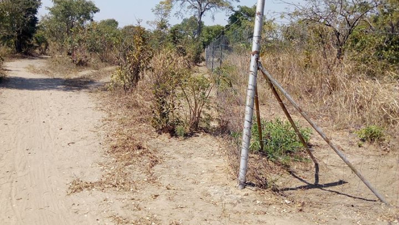 7-hectares-of-land-for-sale-in-chongwe-big-2