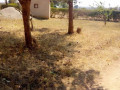 traditional-farm-land-for-sale-in-kasisi-chongwe-small-1