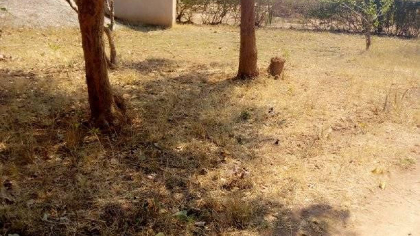 traditional-farm-land-for-sale-in-kasisi-chongwe-big-1