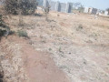 plot-for-sale-in-meanwood-mutimbi-phase-four-small-0