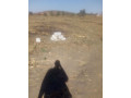 30-by-30-plot-for-sale-in-chongwe-small-0