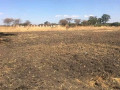 land-for-sale-in-lusaka-west-small-2