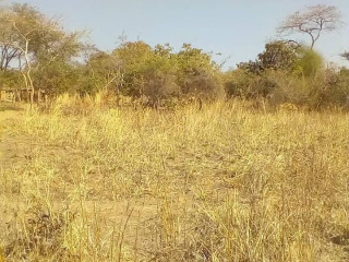 2 Hectors of Land for Sale