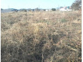 9-plots-for-sale-in-chestone-obama-small-3