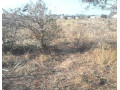 9-plots-for-sale-in-chestone-obama-small-2