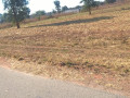 5-acres-land-for-sale-near-leopard-hills-road-small-1