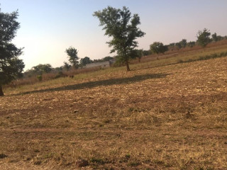 5 Acres Land for Sale Near Leopard Hills Road