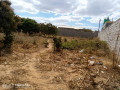 plain-land-for-sale-in-zanimuone-west-lusaka-small-3