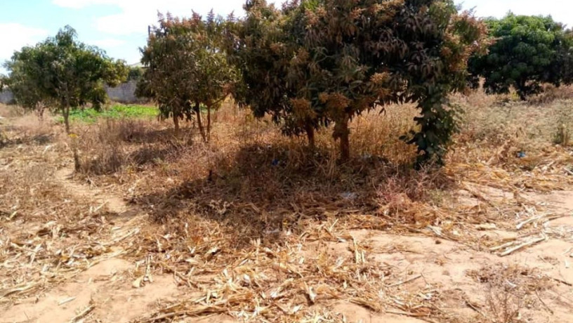 plain-land-for-sale-in-zanimuone-west-lusaka-big-0