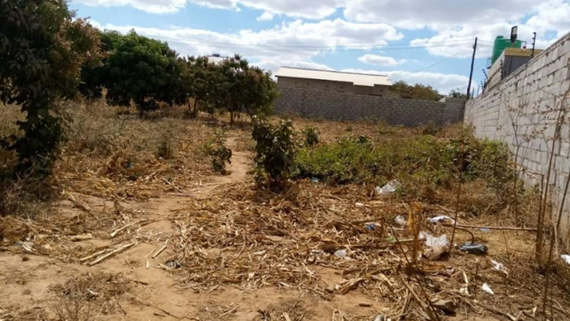 plain-land-for-sale-in-zanimuone-west-lusaka-big-3