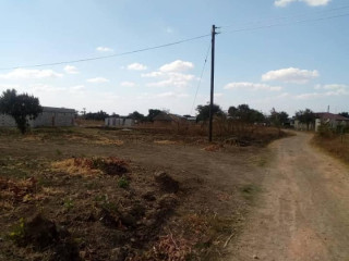 Plot for Sale