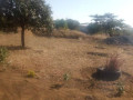 plot-for-sale-in-chongwe-small-3