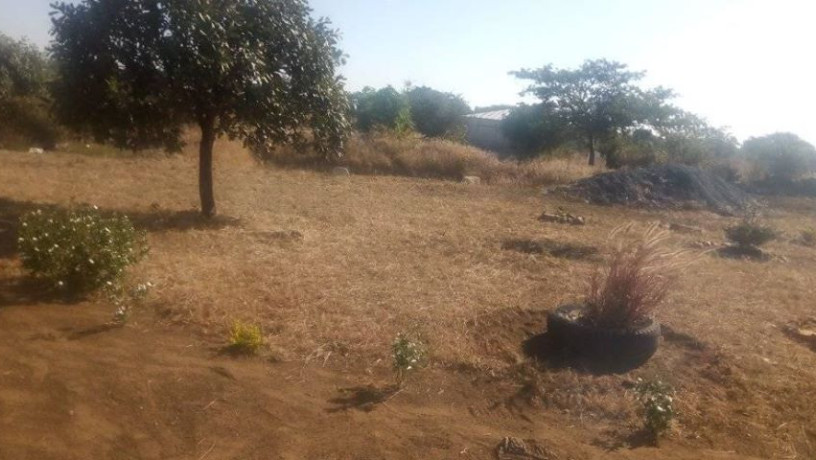 plot-for-sale-in-chongwe-big-3