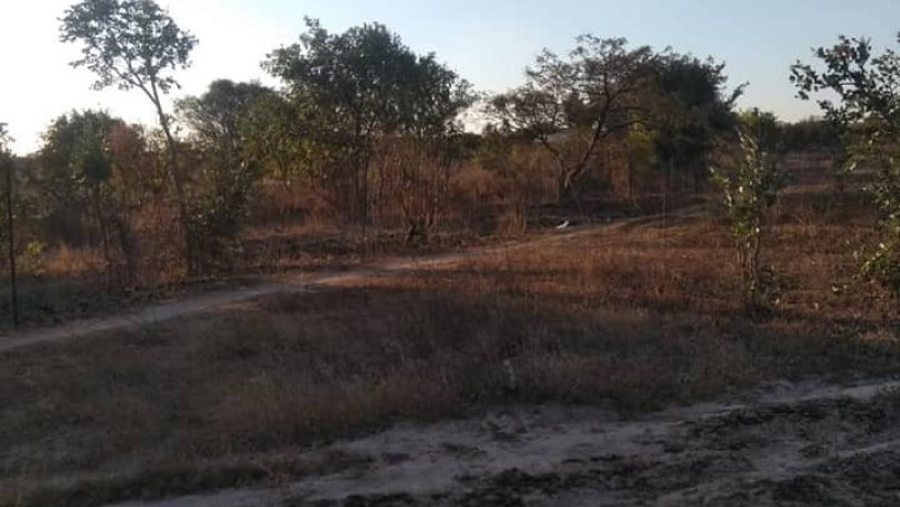 15-acres-land-for-sale-in-ngwerere-area-big-1