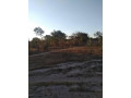 15-acres-land-for-sale-in-ngwerere-area-small-1