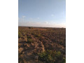 15-acres-land-for-sale-in-ngwerere-area-small-4