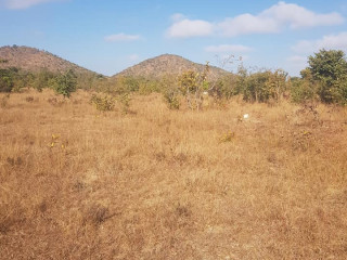 Road Frontage Plot for Sale in Mikango