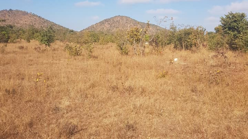 road-frontage-plot-for-sale-in-mikango-big-0