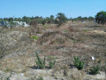 plot-for-sale-in-chongwe-small-1