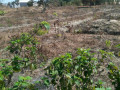 plot-for-sale-in-chongwe-small-2