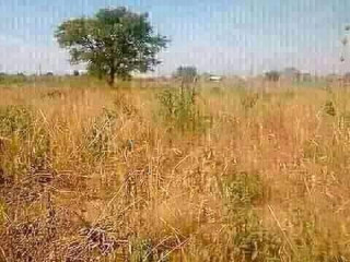 10 Acres Land for Sale in Lusaka West