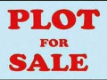 quick-sale-plot-in-libala-south-near-american-people-small-2