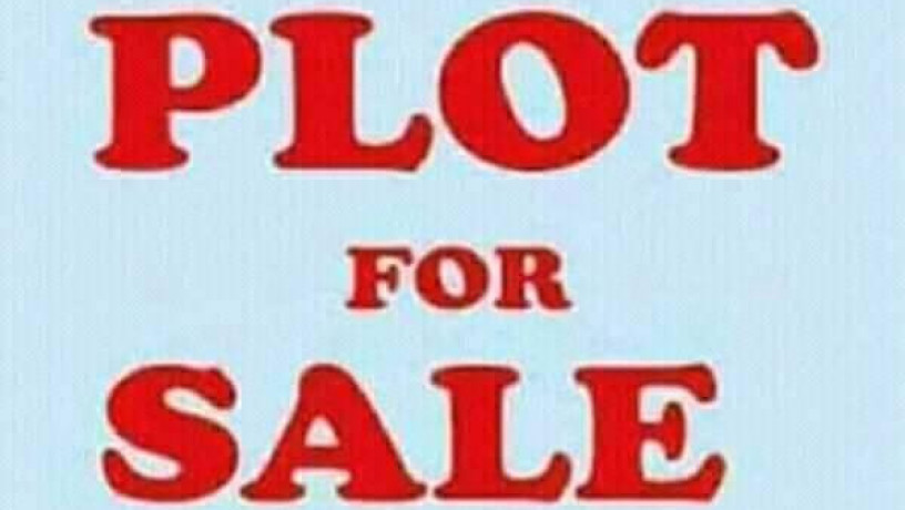 quick-sale-plot-in-libala-south-near-american-people-big-2