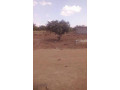 quick-sale-plot-in-libala-south-near-american-people-small-1