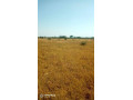 residential-plots-in-mwembeshi-namayani-area-small-0