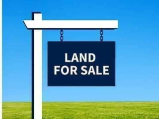 Chalala Plots for Sale