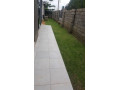 ibex-rent-near-twin-palm-mall-small-1