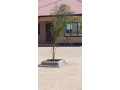 stand-alone-flat-with-laundry-room-and-paved-yard-small-6