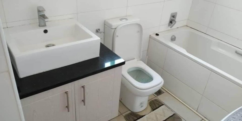 furnished-1-bedroom-apartment-in-roma-park-big-3