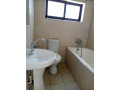 two-bedroom-flat-for-rent-near-memorial-park-small-1