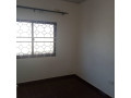 executive-1-bedroomed-flat-for-rent-off-ringroad-near-water-workslibala-south-small-8