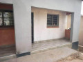 house-for-rent-in-ngombe-small-6