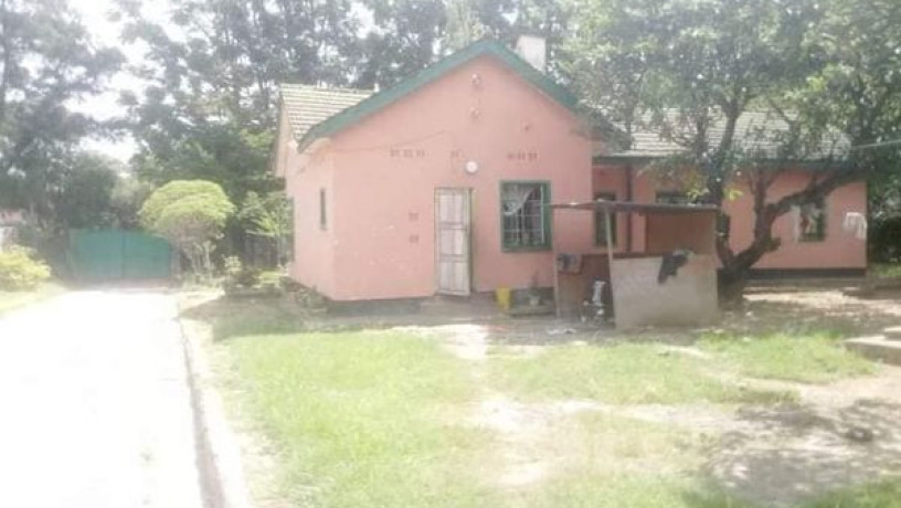 2-bedroom-standalone-house-with-cottage-in-northmead-big-6