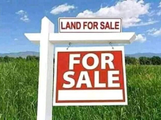 2.5 Acres of Land for Sale in Chilanga