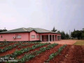 5-acres-farm-for-sale-in-lilayi-small-7