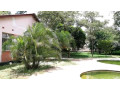 road-frontage-land-for-sale-small-2