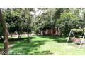road-frontage-land-for-sale-small-0