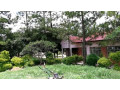 road-frontage-land-for-sale-small-1