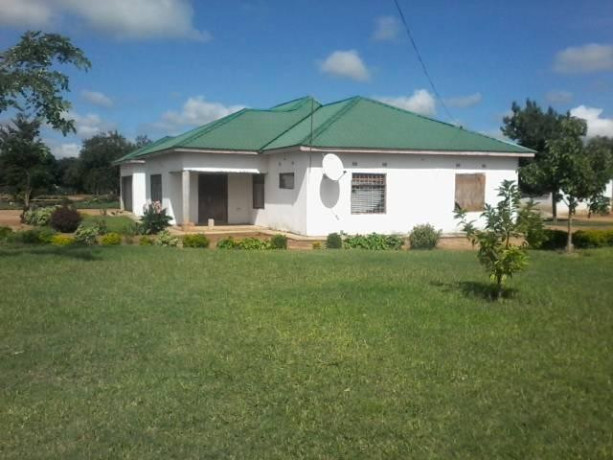 4-bedroom-stand-alone-house-for-sale-in-silverest-big-2