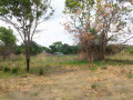 4-hectares-farmland-for-sale-along-luanshya-road-small-1