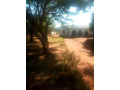 plot-for-sale-in-chongwe-town-small-0
